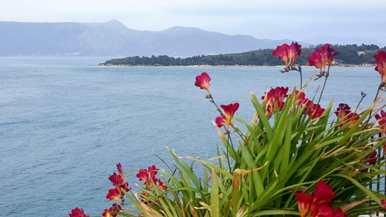 Ferienwohnung Roof Garden House Corfu  Exterior foto