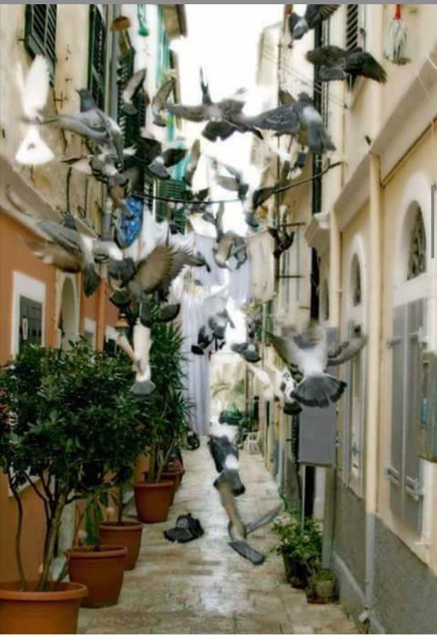 Ferienwohnung Roof Garden House Corfu  Exterior foto